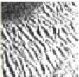 [Uncaptioned image]
