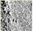 [Uncaptioned image]