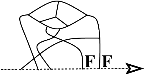 [Uncaptioned image]