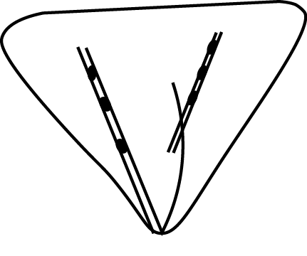 [Uncaptioned image]