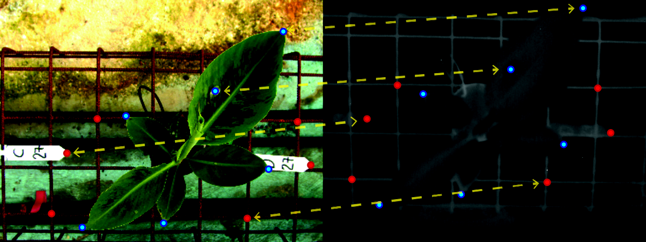 Refer to caption