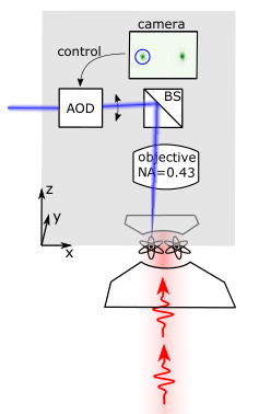 Refer to caption