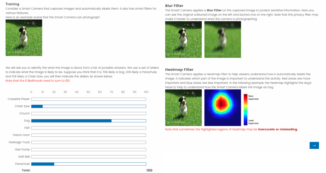 Tutorial page of our survey. The page consists of the task description, the instruction on the "balls and bins" question, the background about blur filter and heatmap filter.
