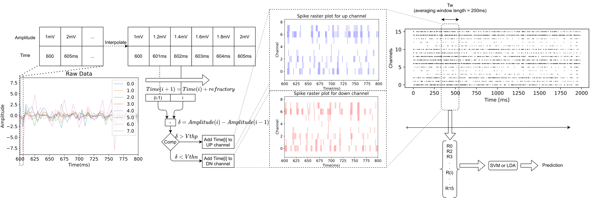 The eight continuous analog EMG signals are encoded as UP and down (DN) spikes. The data is first interpolated and the difference between successive amplitudes is compared to a positive and a negative threshold to obtain spike times. The average firing rate is computed across a time window of 200 ms for each of the 16 spike trains and fed into an SVM classifier.
