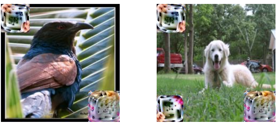 [Uncaptioned image]