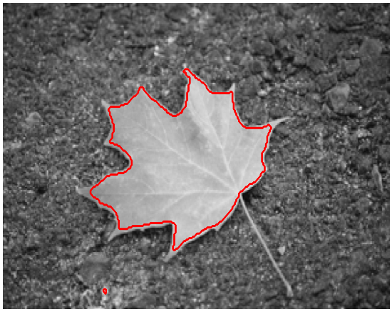 Refer to caption