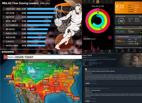 Four example visualizations used in the interview. A bar chart showing NBA ALL-time Scoring Leaders from 1946 to 2016. A weather map of temperature highs in the US. A screenshot of Apple Watch's exercise rings and Garmin technology's personal health panel. A screenshot of the reviews for the movie Emma from Amazon's Prime video.