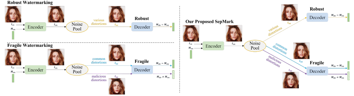 Pipelines of robust watermarking, fragile watermarking, and our SepMark.