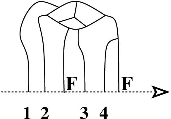 [Uncaptioned image]