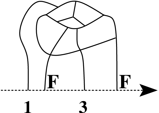 [Uncaptioned image]