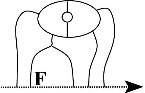 [Uncaptioned image]