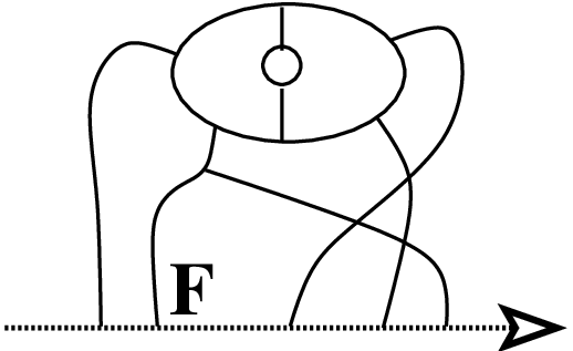[Uncaptioned image]