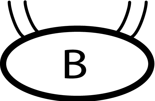 [Uncaptioned image]